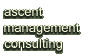 Ascent Management Consulting