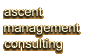 Ascent Management Consulting